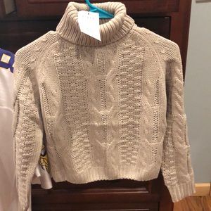 Turtle neck crop top